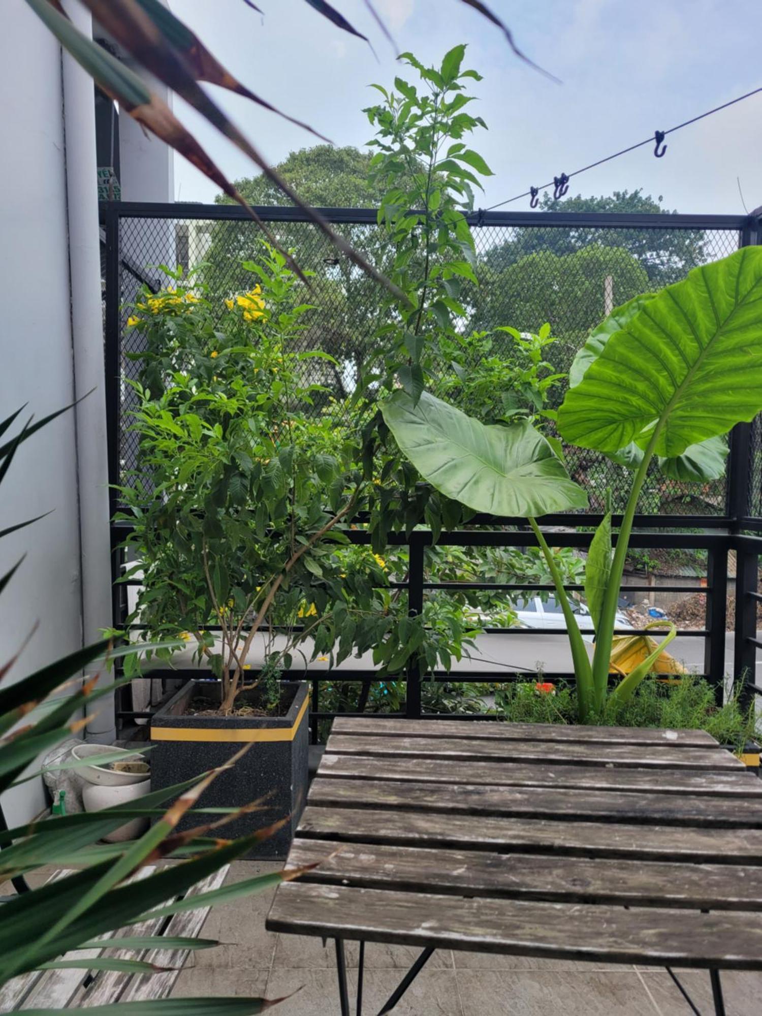 Agk House - Homestay - 406 Xo Viet Nghe Tinh, P25, Binh Thanh, Gan Nga 4 Hang Xanh ホーチミン市 エクステリア 写真